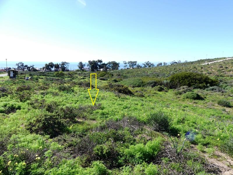 0 Bedroom Property for Sale in St Helena Views Western Cape